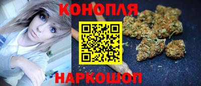 дмт Будённовск