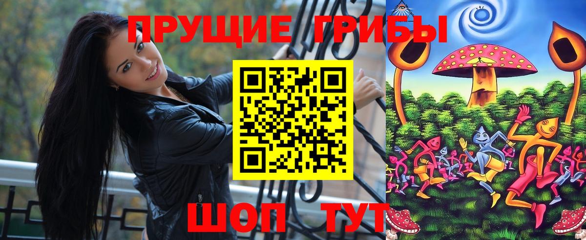 Псилоцибиновые грибы Psilocybe  Вход с VPN  Россошь 